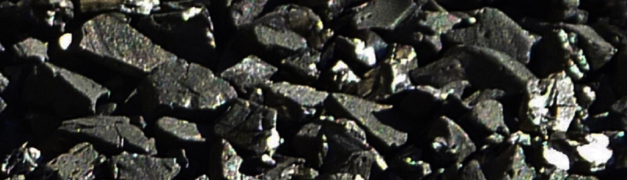wood-based activated carbon
